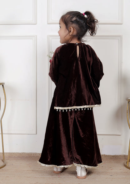Chocolate Brown Velvet Kurta & Palazzo Set